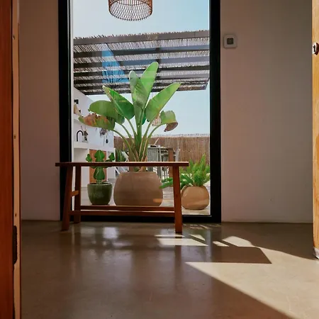 Casa Del Aljibe - La Casa *