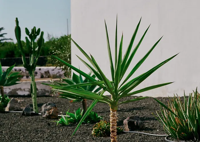 Casa Del Aljibe - La Casa Macher