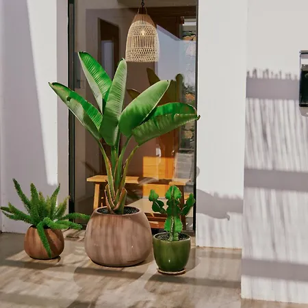 Casa Del Aljibe - La Casa Вилла