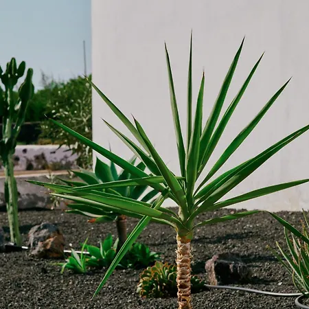 Casa Del Aljibe - La Casa Мачер