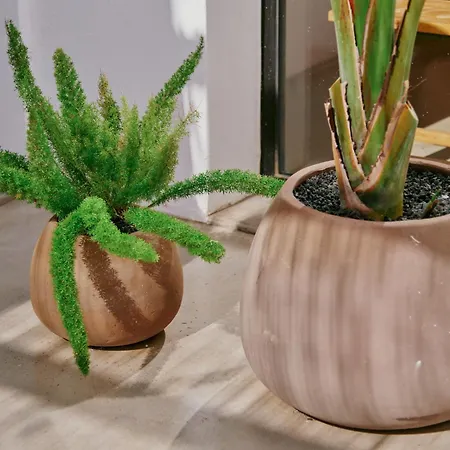 Casa Del Aljibe - La Casa *